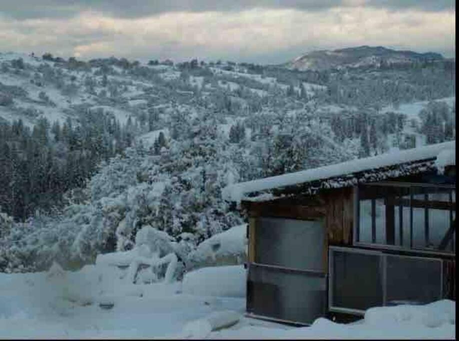 Walnut Cottage Badger Luaran gambar