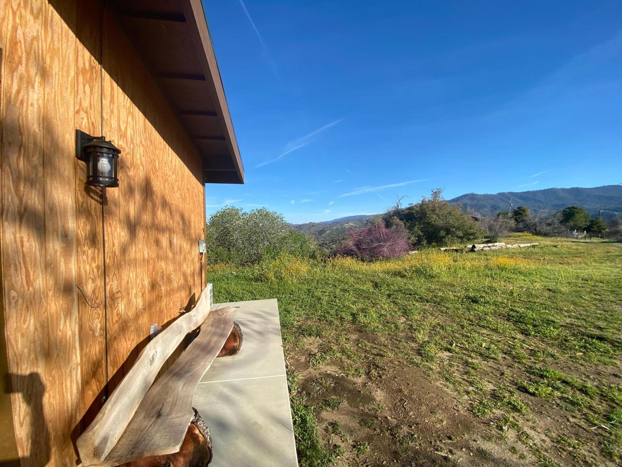 Walnut Cottage Badger Luaran gambar