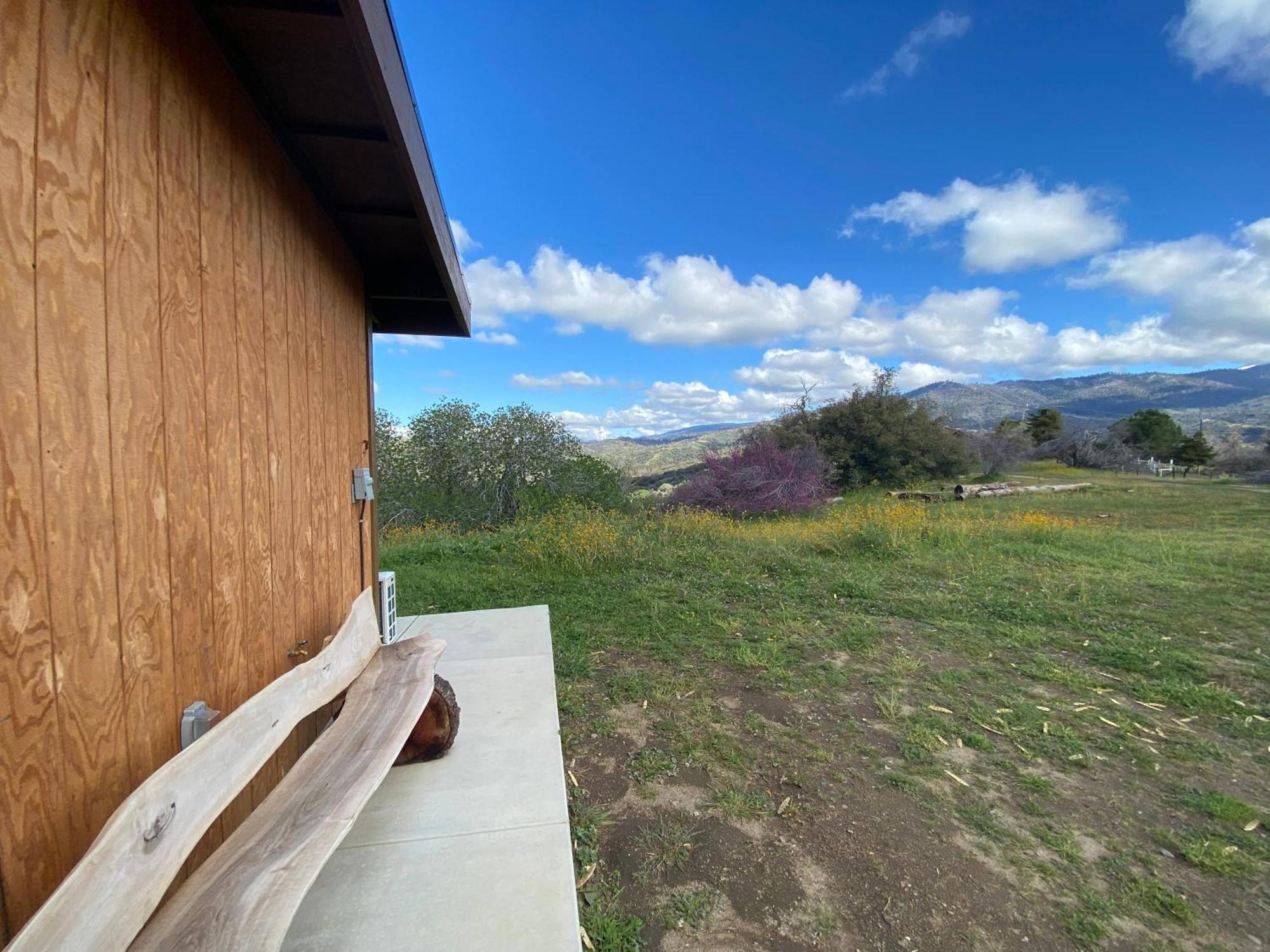 Walnut Cottage Badger Luaran gambar